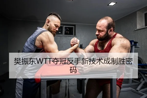 樊振东WTT夺冠反手新技术成制胜密码